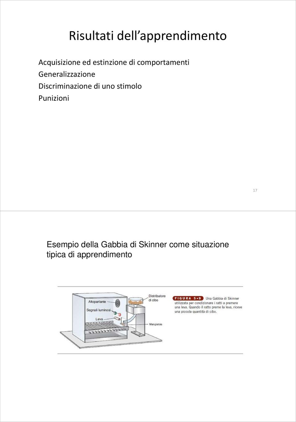 Discriminazione di uno stimolo Punizioni 17 Esempio