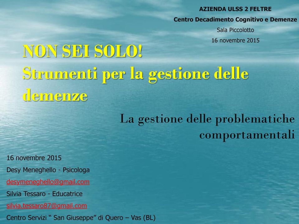 2015 Strumenti per la gestione delle demenze La gestione delle problematiche