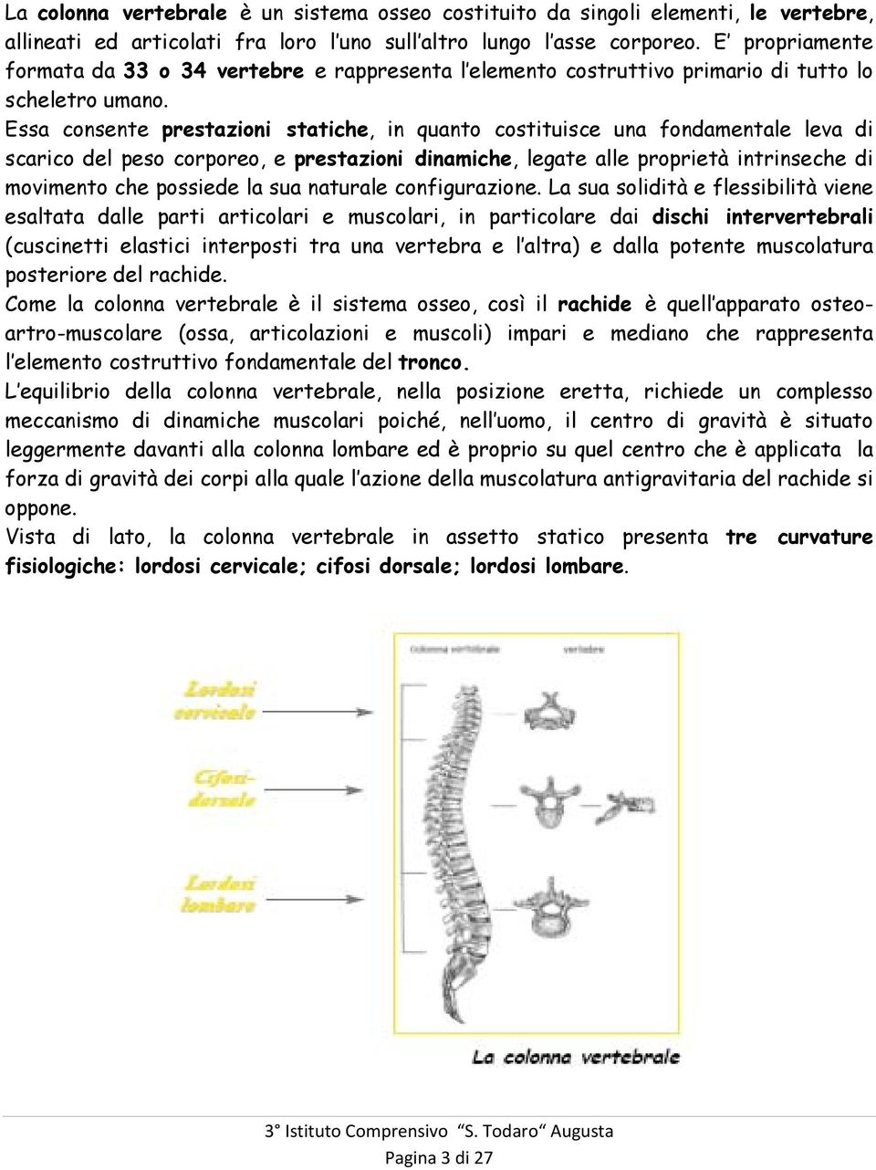 Essa consente prestazioni statiche, in quanto costituisce una fondamentale leva di scarico del peso corporeo, e prestazioni dinamiche, legate alle proprietà intrinseche di movimento che possiede la