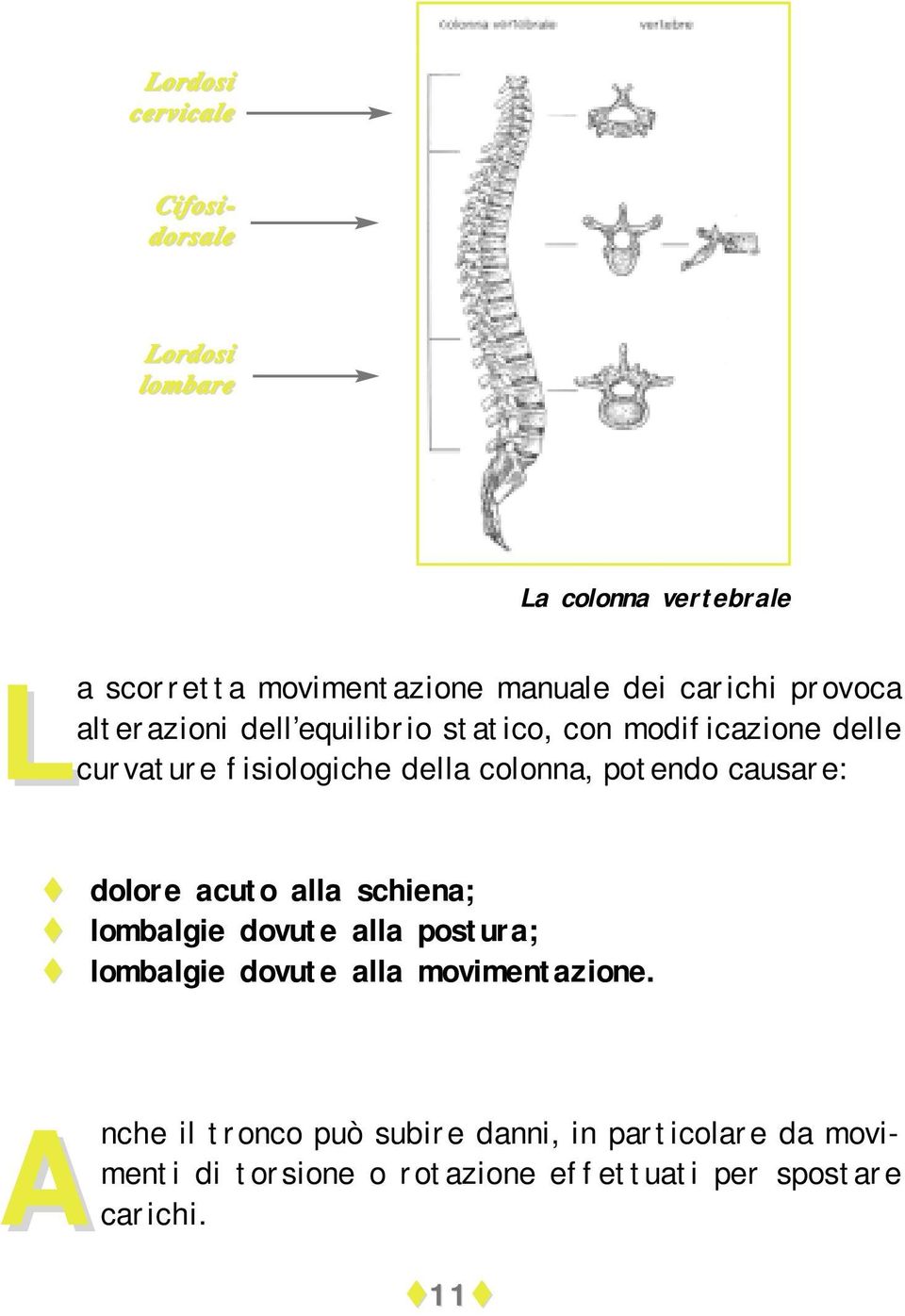 potendo causare:! dolore acuto alla schiena;! lombalgie dovute alla postura;! lombalgie dovute alla movimentazione.