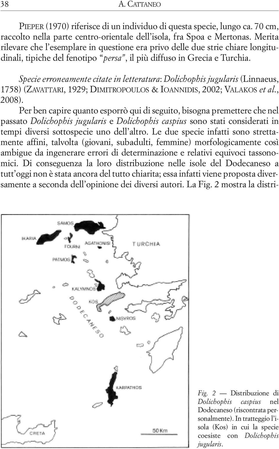 Specie erroneamente citate in letteratura: Dolichophis jugularis (Linnaeus, 1758) (ZAVATTARI, 1929; DIMITROPOULOS & IOANNIDIS, 2002; VALAKOS et al., 2008).
