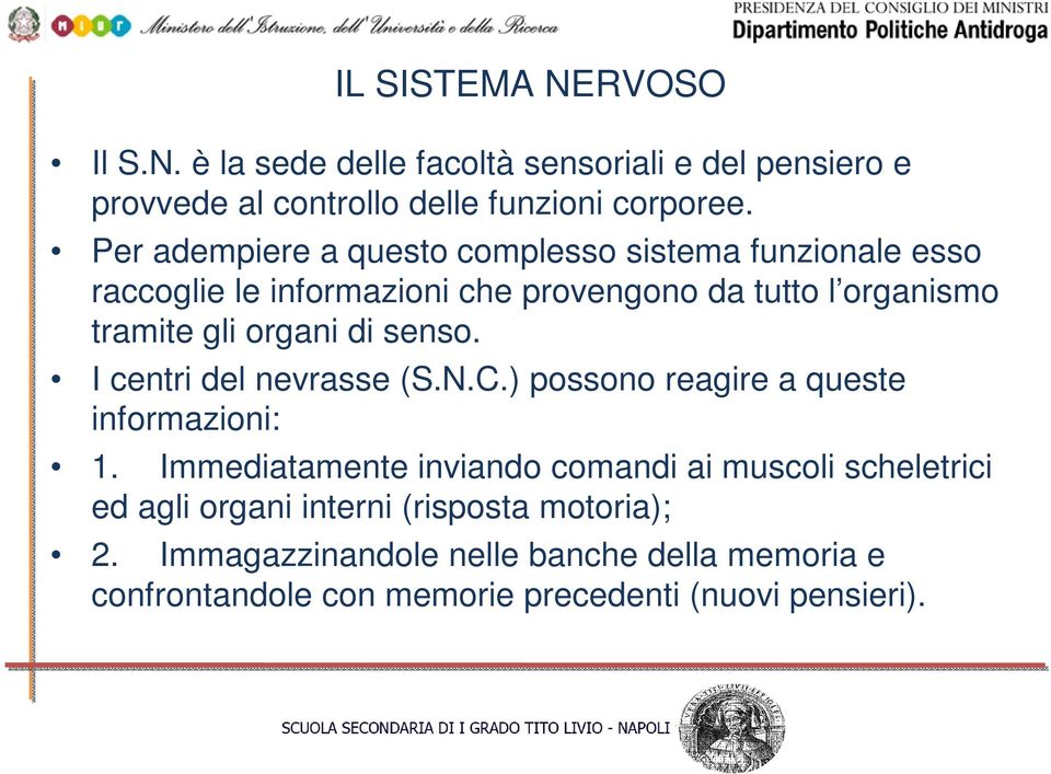 di senso. I centri del nevrasse (S.N.C.) possono reagire a queste informazioni: 1.