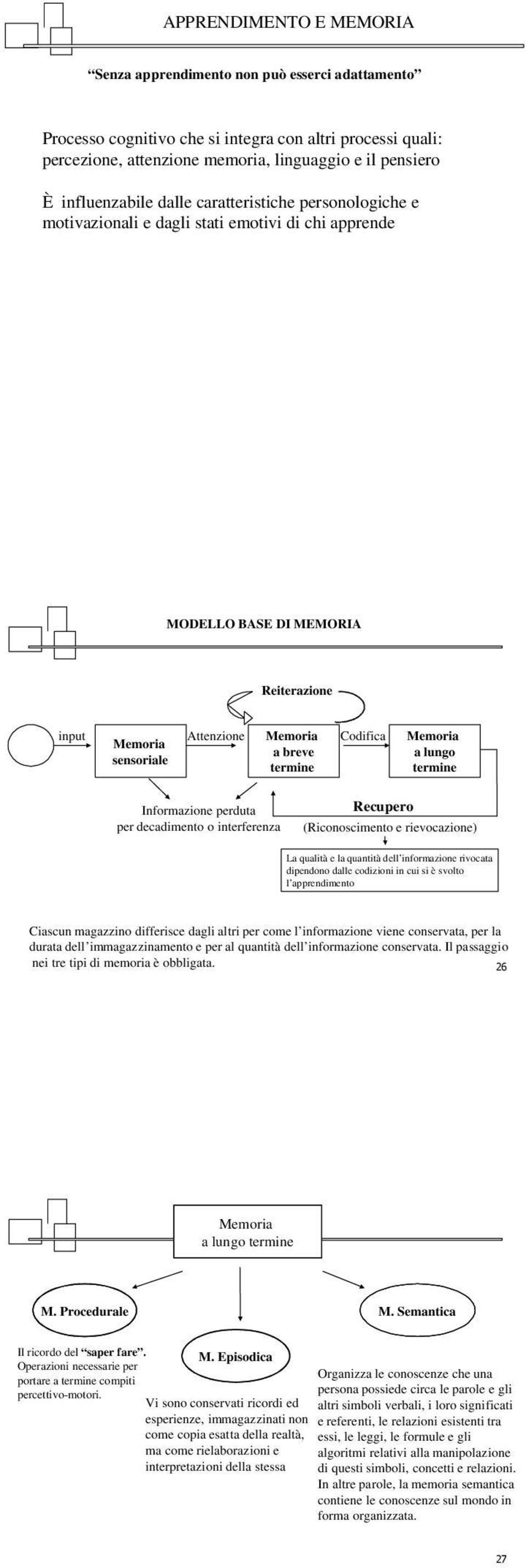 termine Codifica Memoria a lungo termine Informazione perduta per decadimento o interferenza Recupero (Riconoscimento e rievocazione) La qualità e la quantità dell informazione rivocata dipendono