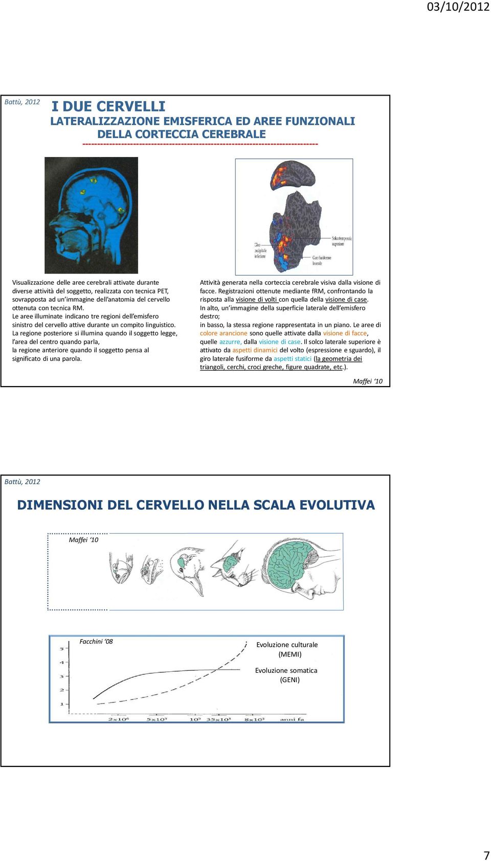 Le aree illuminate indicano tre regioni dell emisfero sinistro del cervello attive durante un compito linguistico.