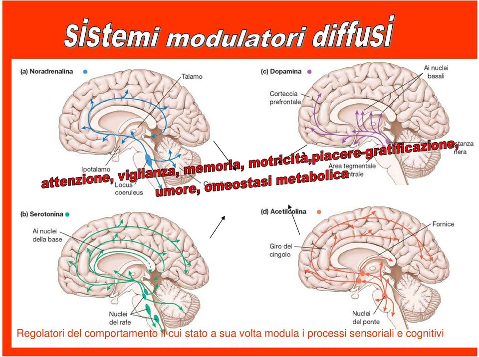 stato a sua volta