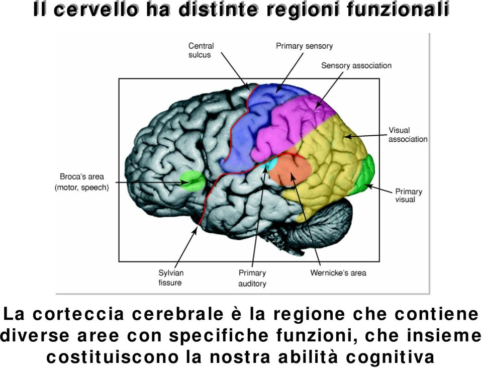 la regione che contiene diverse aree con specifiche