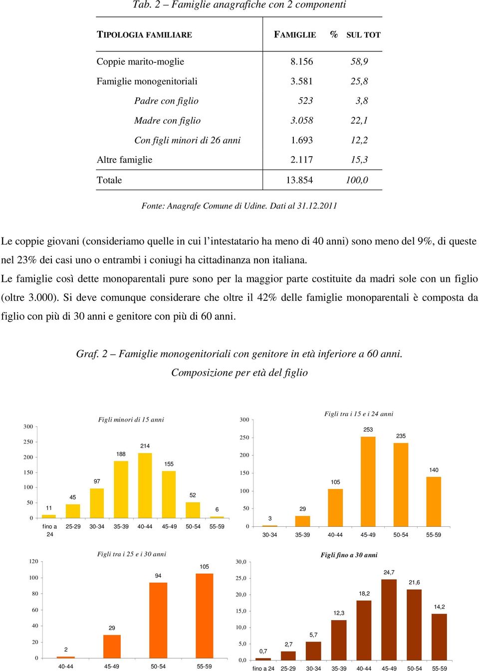 2 Altre famiglie 2.117 15,3 Totale 13.854 100,0 Fonte: Anagrafe Comune di Udine. Dati al 31.12.