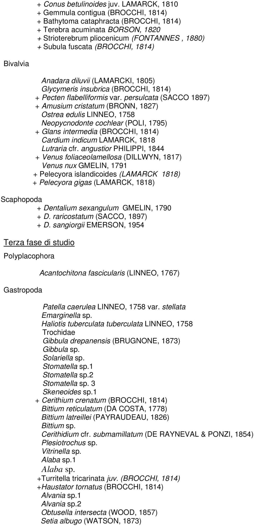 1814) Bivalvia Anadara diluvii (LAMARCKI, 1805) Glycymeris insubrica (BROCCHI, 1814) + Pecten flabelliformis var.