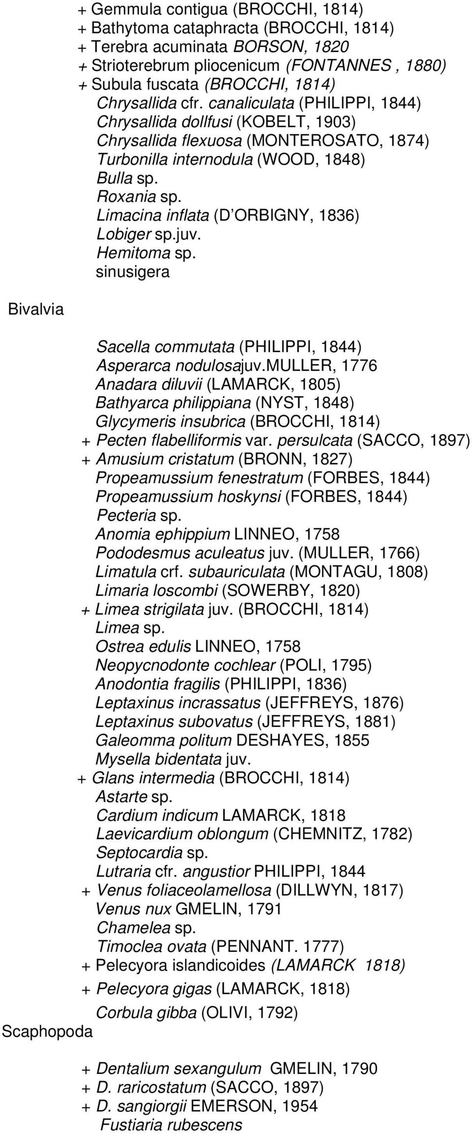 Limacina inflata (D ORBIGNY, 1836) Lobiger sp.juv. Hemitoma sp. sinusigera Bivalvia Sacella commutata (PHILIPPI, 1844) Asperarca nodulosajuv.