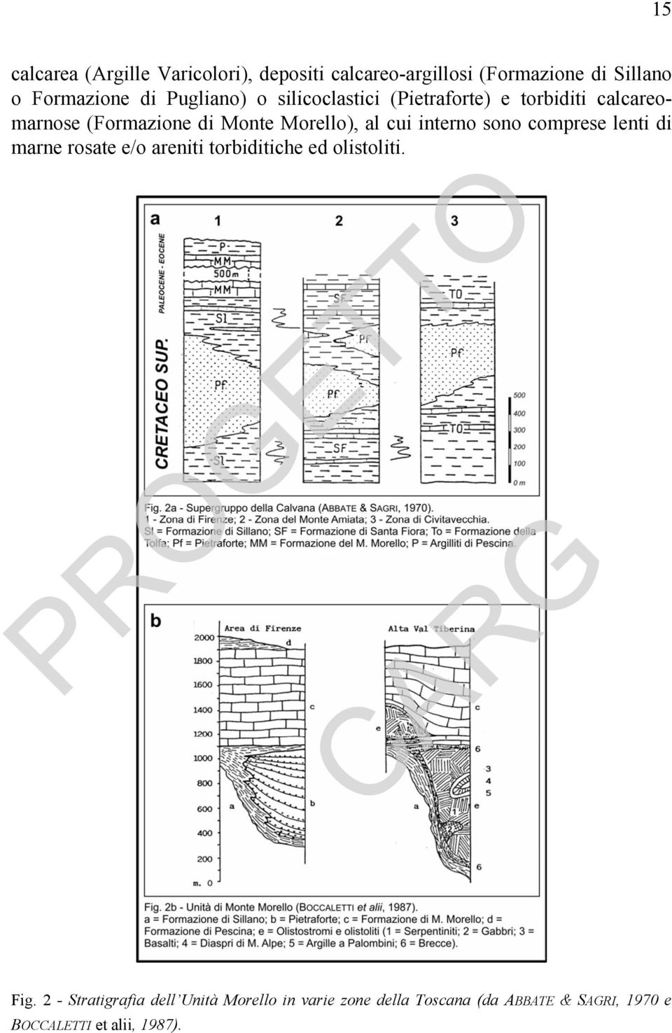 cui interno sono comprese lenti di marne rosate e/o areniti torbiditiche ed olistoliti. Fig.