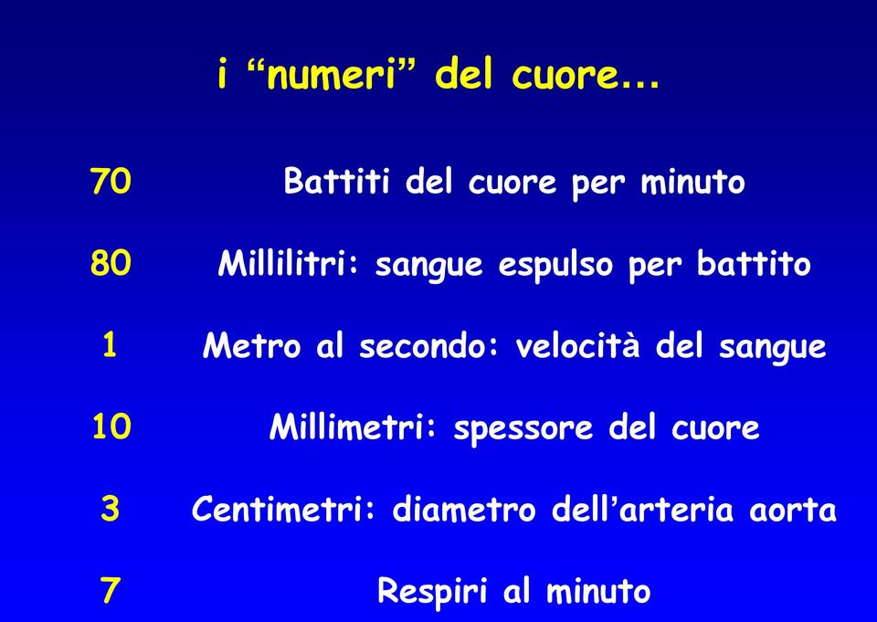 secondo: velocità del sangue Millimetri: spessore del