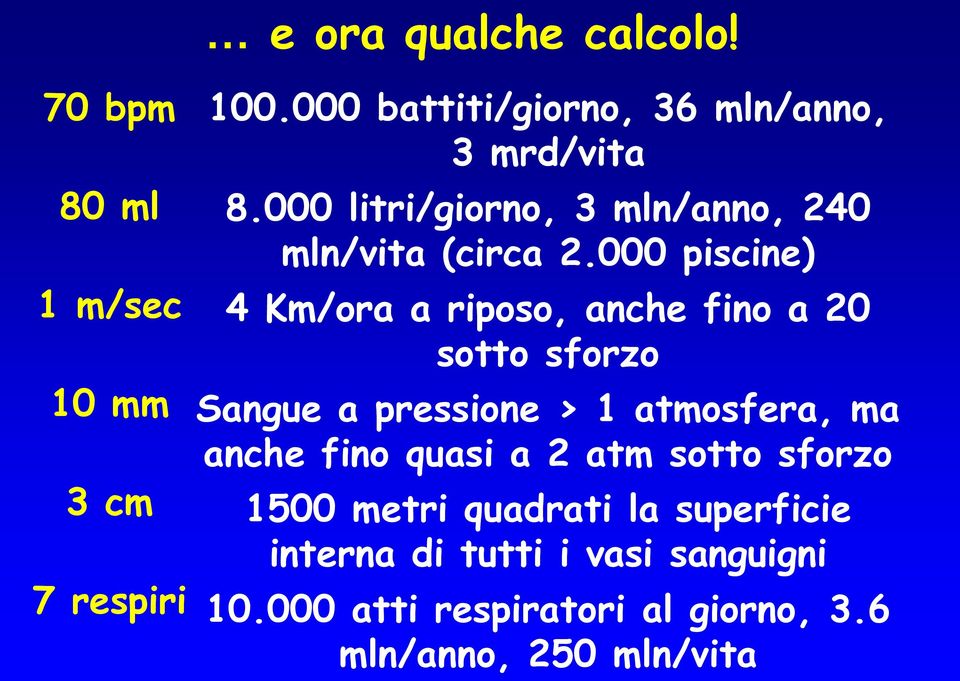 000 piscine) 4 Km/ora a riposo, anche fino a 20 sotto sforzo Sangue a pressione > 1 atmosfera, ma anche