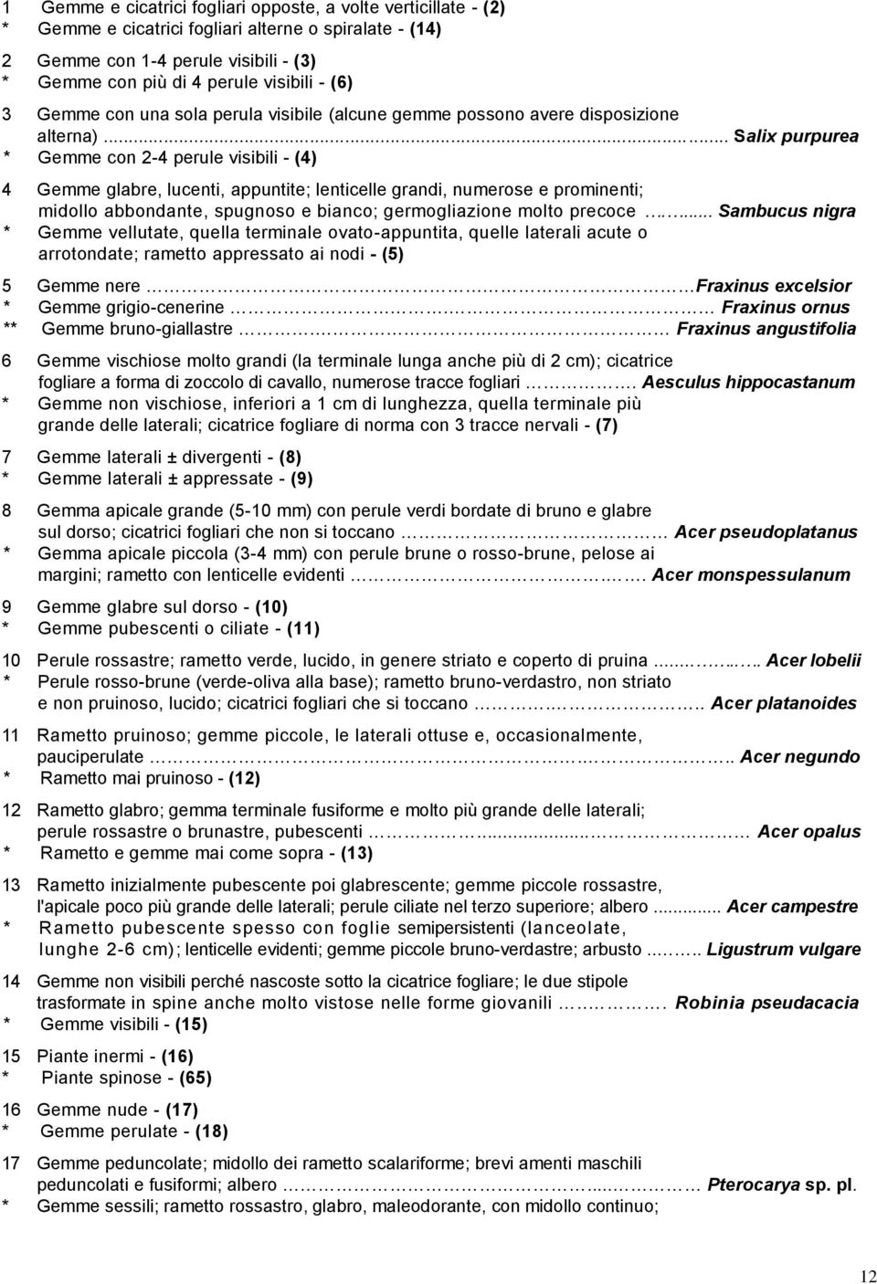 .. Salix purpurea * Gemme con 2-4 perule visibili - (4) 4 Gemme glabre, lucenti, appuntite; lenticelle grandi, numerose e prominenti; midollo abbondante, spugnoso e bianco; germogliazione molto precoce.