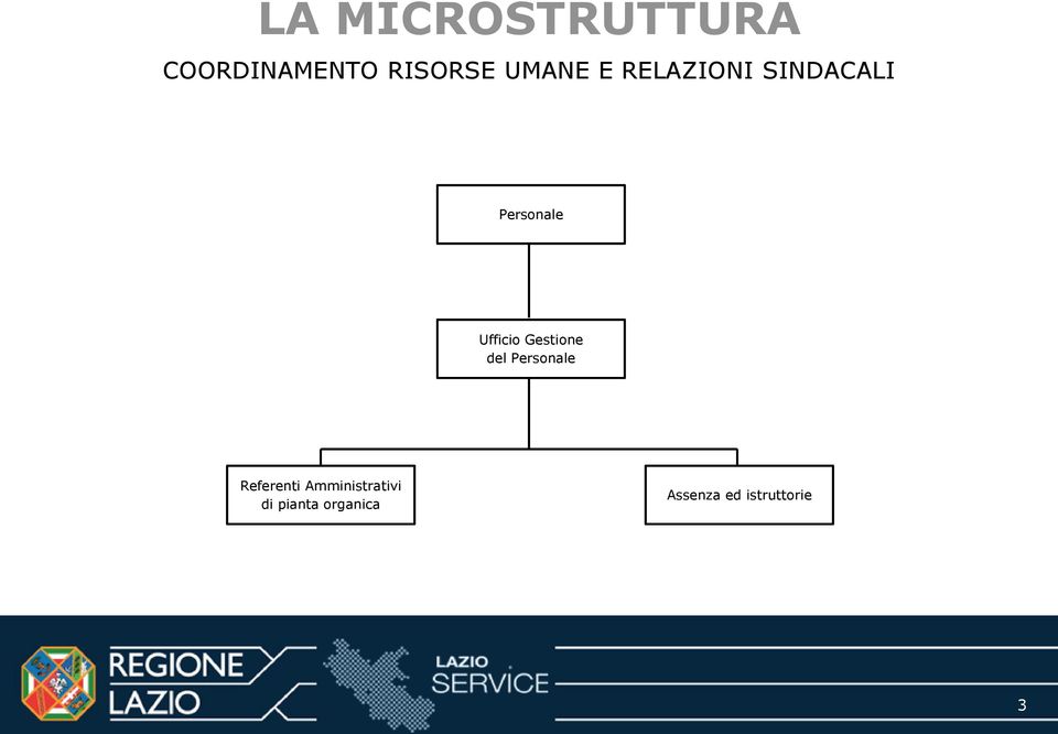 Amministrativi di pianta