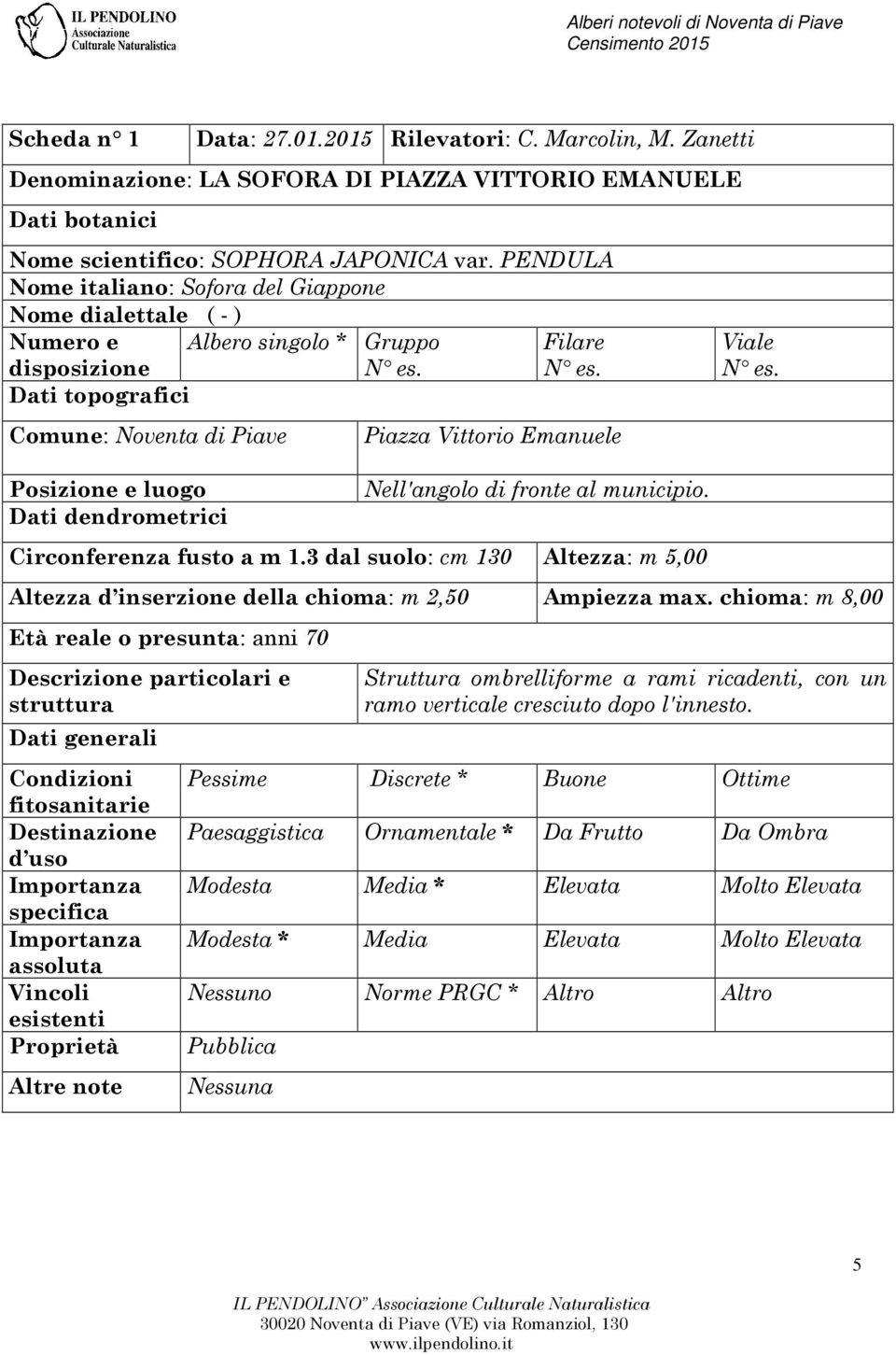 al municipio. Circonferenza fusto a m 1.3 dal suolo: cm 130 Altezza: m 5,00 Altezza d inserzione della chioma: m 2,50 Ampiezza max.