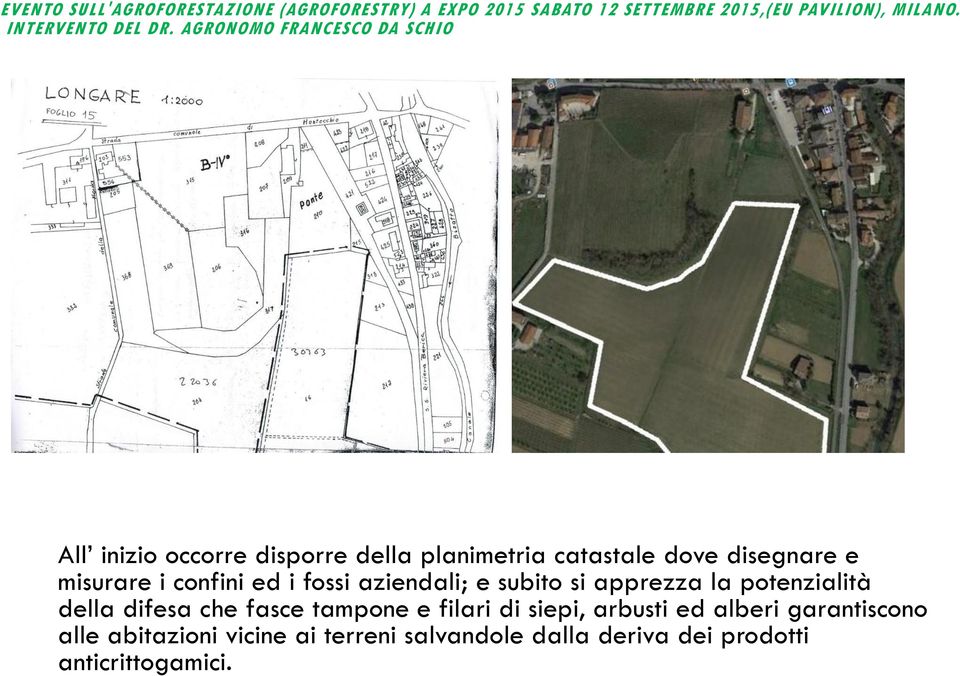 della difesa che fasce tampone e filari di siepi, arbusti ed alberi