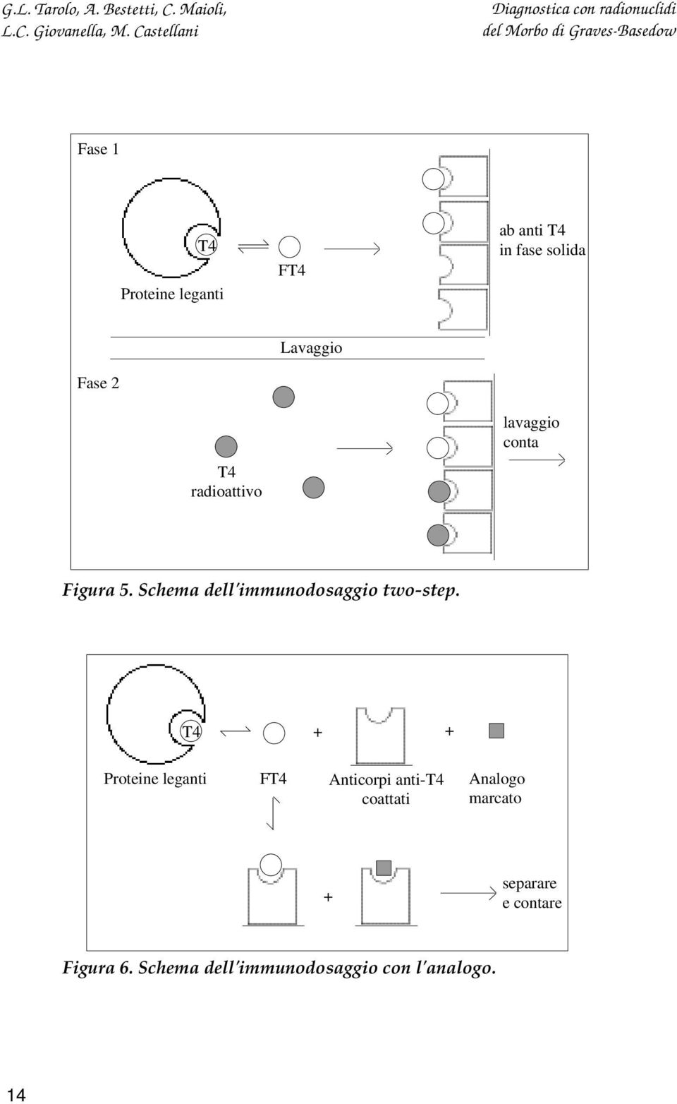 Schema dell'immunodosaggio two-step.