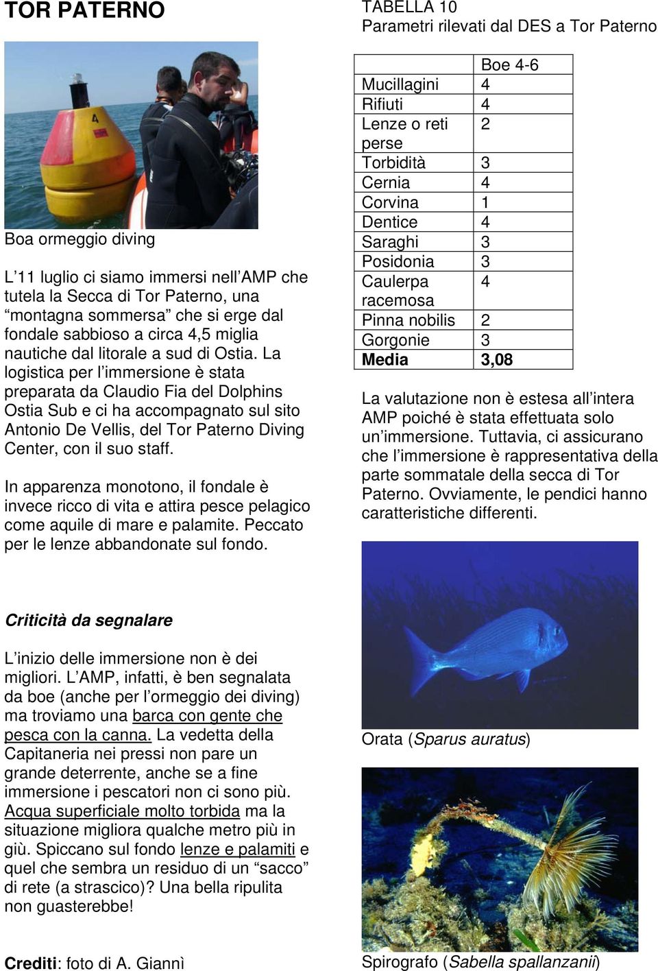 La logistica per l immersione è stata preparata da Claudio Fia del Dolphins Ostia Sub e ci ha accompagnato sul sito Antonio De Vellis, del Tor Paterno Diving Center, con il suo staff.