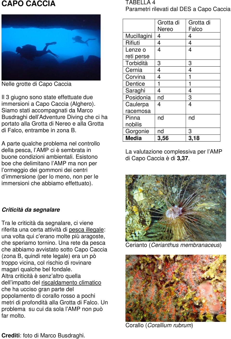 A parte qualche problema nel controllo della pesca, l AMP ci è sembrata in buone condizioni ambientali.