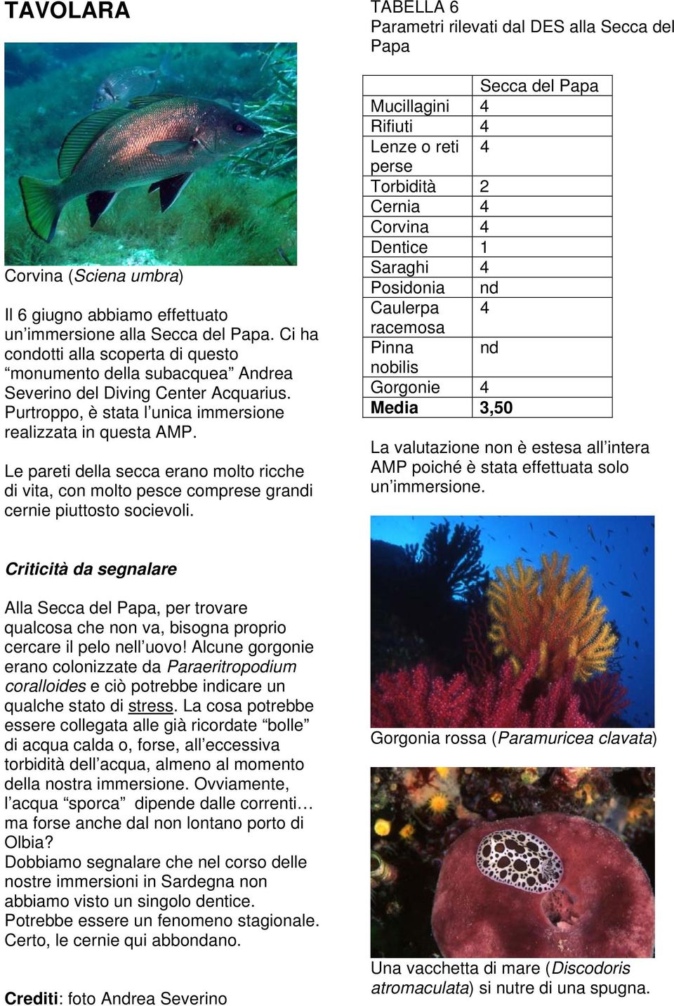 Le pareti della secca erano molto ricche di vita, con molto pesce comprese grandi cernie piuttosto socievoli.