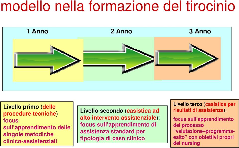 assistenziale): focus sull apprendimento di assistenza standard per tipologia di caso clinico Livello terzo