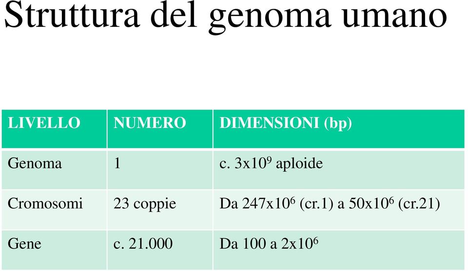 3x10 9 aploide Cromosomi 23 coppie Da