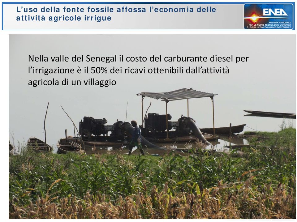 costo del carburante diesel per l irrigazione è il 50%