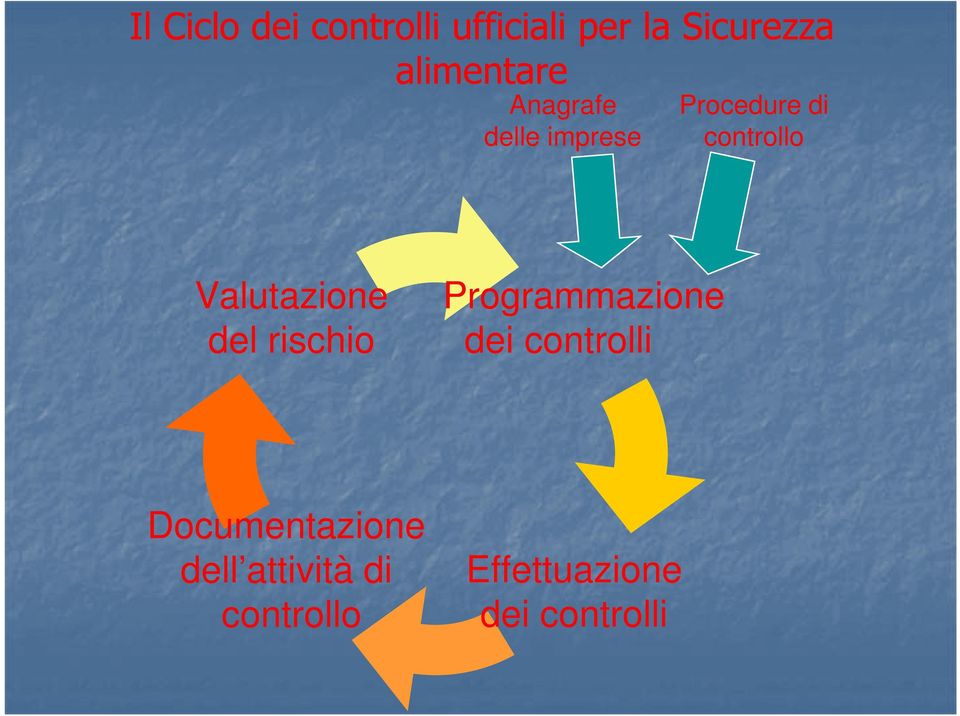 Valutazione del rischio Programmazione dei controlli