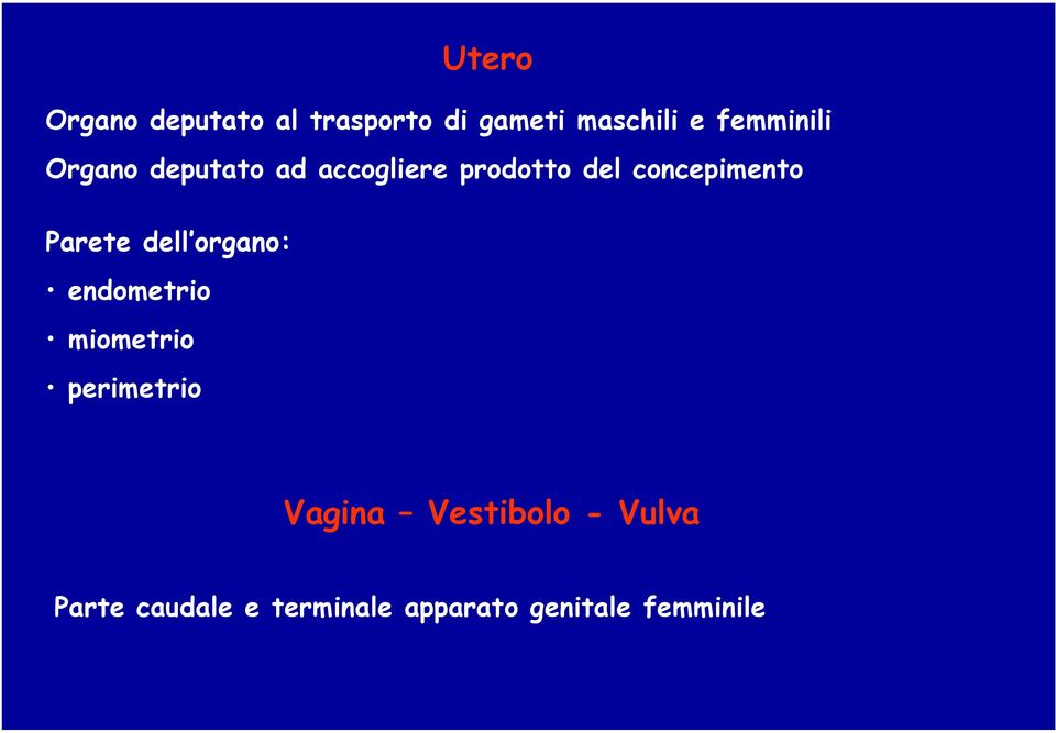 concepimento Parete dell organo: endometrio miometrio