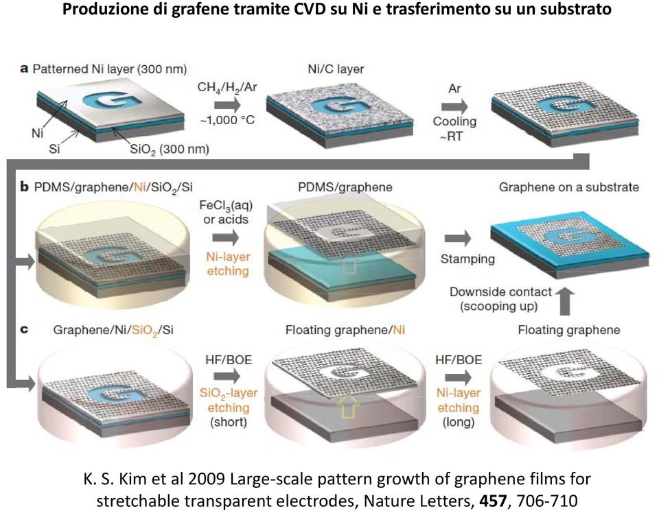 Kim et al 2009 Large-scale pattern growth of