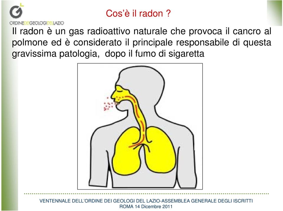 provoca il cancro al polmone ed è considerato