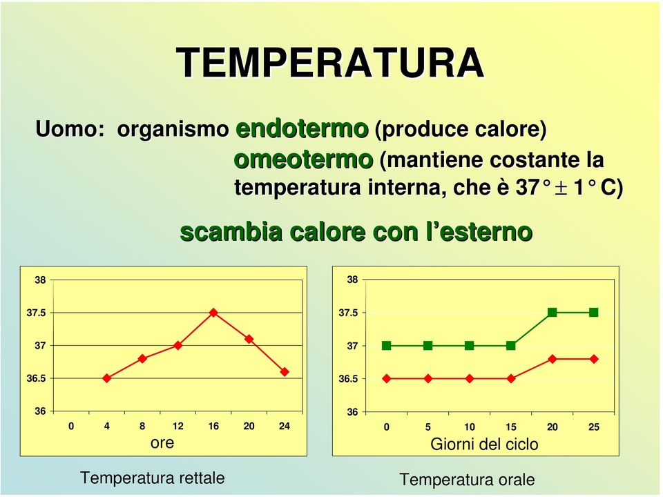 calore con l esterno 38 38 37.5 37.5 37 37 36.5 36.