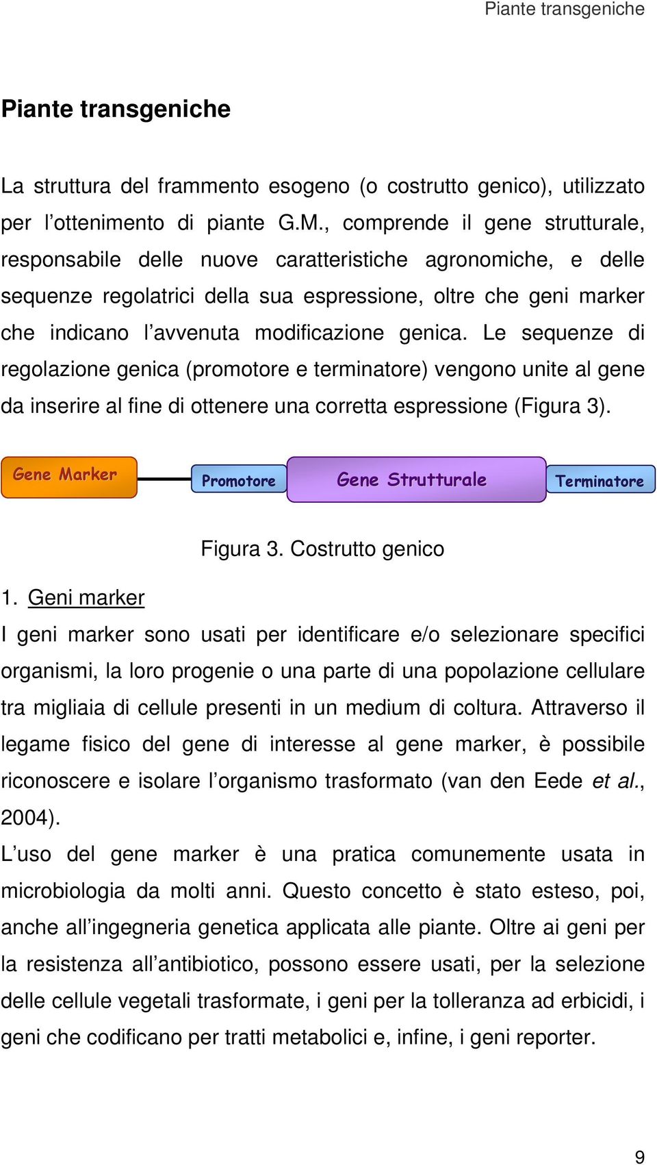 genica. Le sequenze di regolazione genica (promotore e terminatore) vengono unite al gene da inserire al fine di ottenere una corretta espressione (Figura 3).