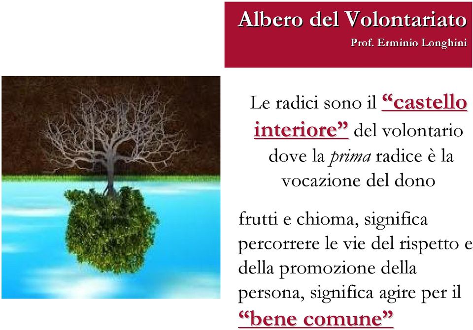 volontario dove la prima radice è la vocazione del dono frutti e