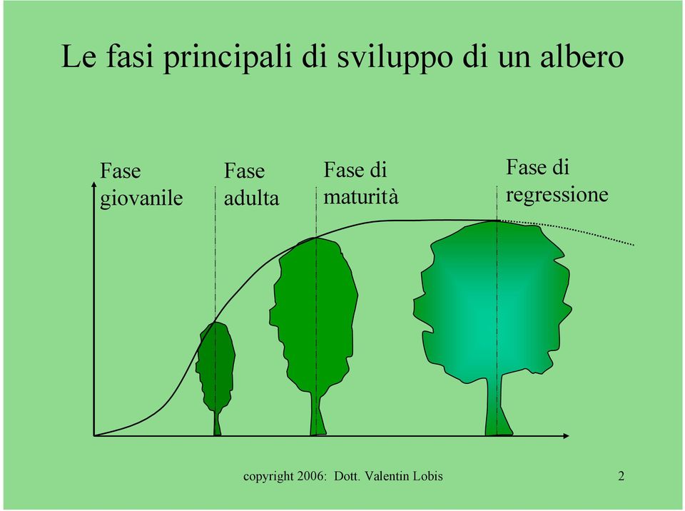 Fase di maturità Fase di regressione