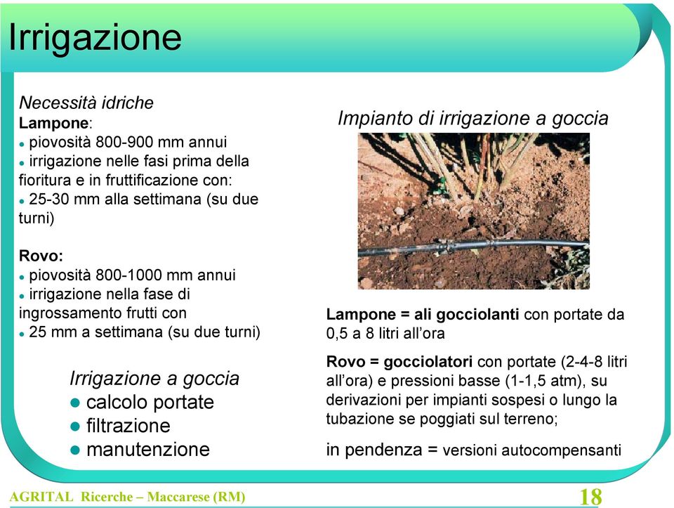 calcolo portate filtrazione manutenzione Impianto di irrigazione a goccia Lampone = ali gocciolanti con portate da 0,5 a 8 litri all ora Rovo = gocciolatori con