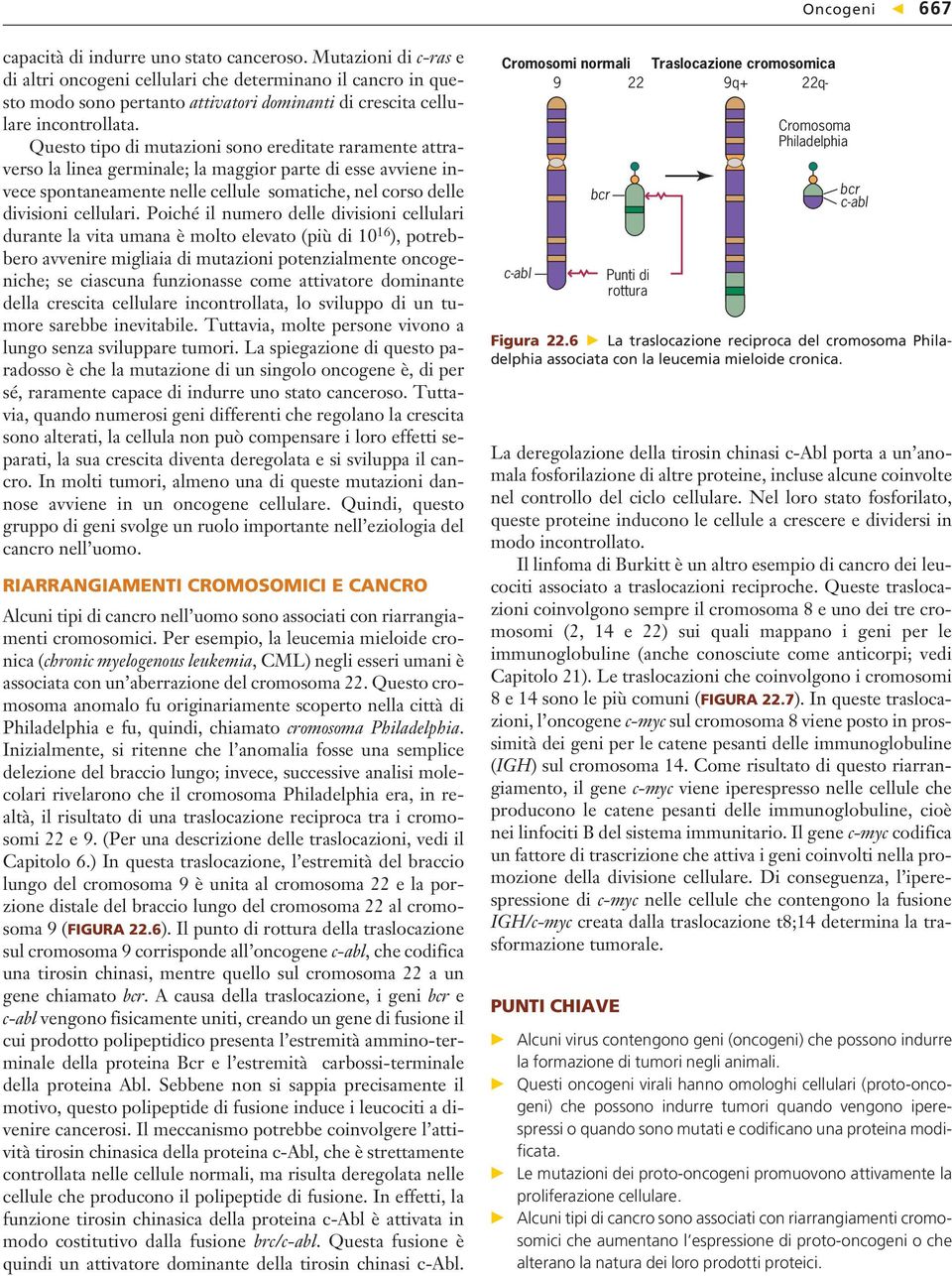 Questo tipo di mutazioni sono ereditate raramente attraverso la linea germinale; la maggior parte di esse avviene invece spontaneamente nelle cellule somatiche, nel corso delle divisioni cellulari.