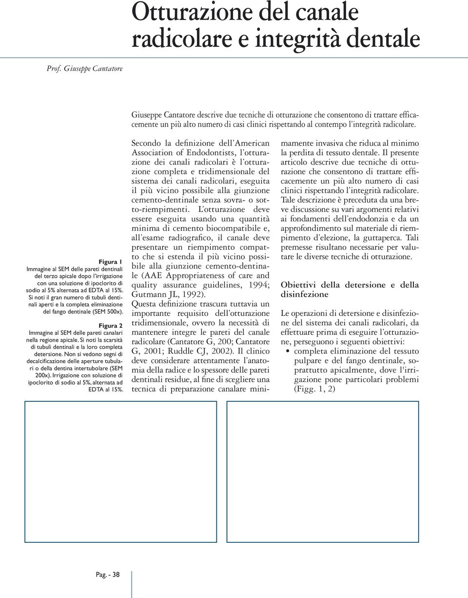 Figura 1 Immagine al SEM delle pareti dentinali del terzo apicale dopo l irrigazione con una soluzione di ipoclorito di sodio al 5% alternata ad EDTA al 15%.