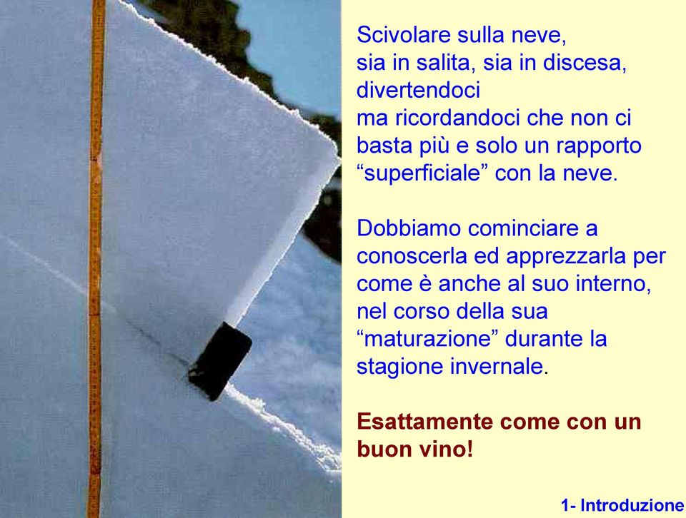 Dobbiamo cominciare a conoscerla ed apprezzarla per come è anche al suo interno, nel