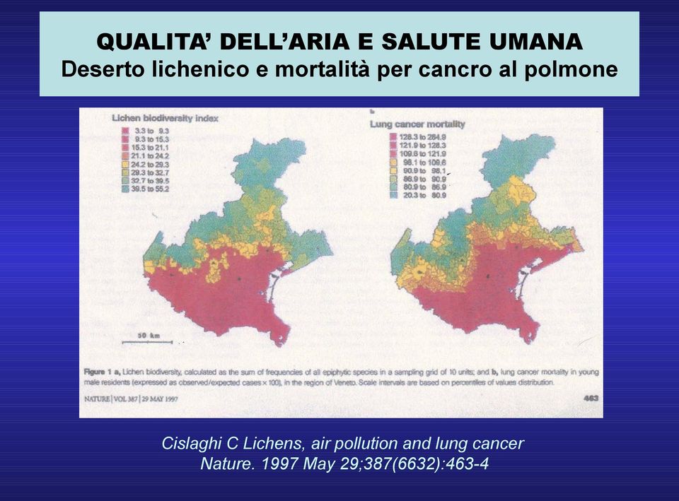 polmone Cislaghi C Lichens, air pollution