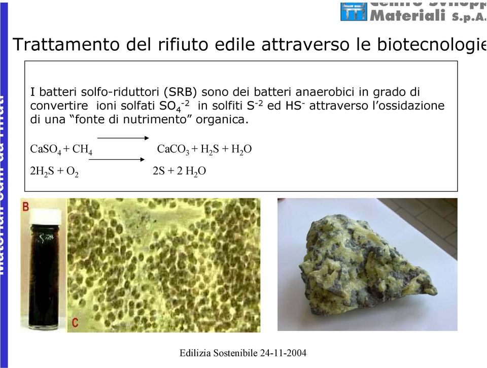 solfati SO -2 4 in solfiti S -2 ed HS - attraverso l ossidazione di una fonte