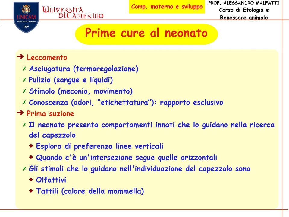 innati che lo guidano nella ricerca del capezzolo Esplora di preferenza linee verticali Quando c'è un'intersezione