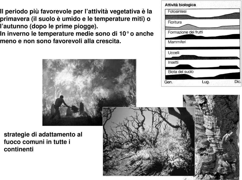 In inverno le temperature medie sono di 10 o anche meno e non sono