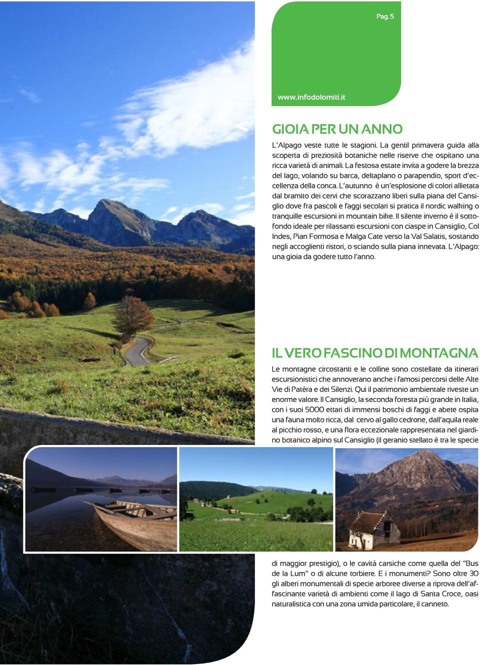 L autunno è un esplosione di colori allietata dal bramito dei cervi che scorazzano liberi sulla piana del Cansiglio dove fra pascoli e faggi secolari si pratica il nordic walking o tranquille