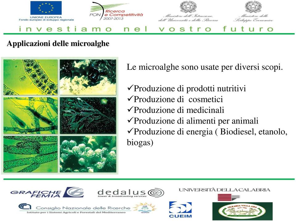 Produzione di prodotti nutritivi Produzione di cosmetici