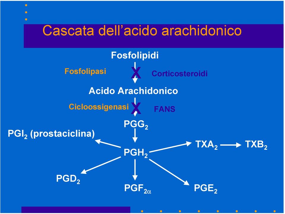 Arachidonico Cicloossigenasi X FANS PGI 2