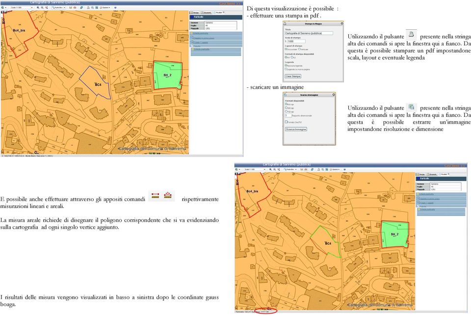 fianco. Da questa è possibile estrarre un immagine impostandone risoluzione e dimensione E possibile anche effettuare attraverso gli appositi comandi rispettivamente misurazioni lineari e areali.