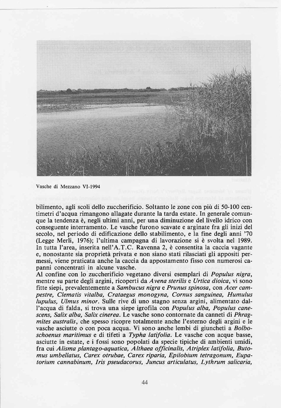 Le vasche furono scavate e arginate fra gli inizi del secolo, nel periodo di edificazione dello stabilimento, e la fine degli anni '70 (Legge Merli, 1976); I'ultima campagna di lavorazione si è