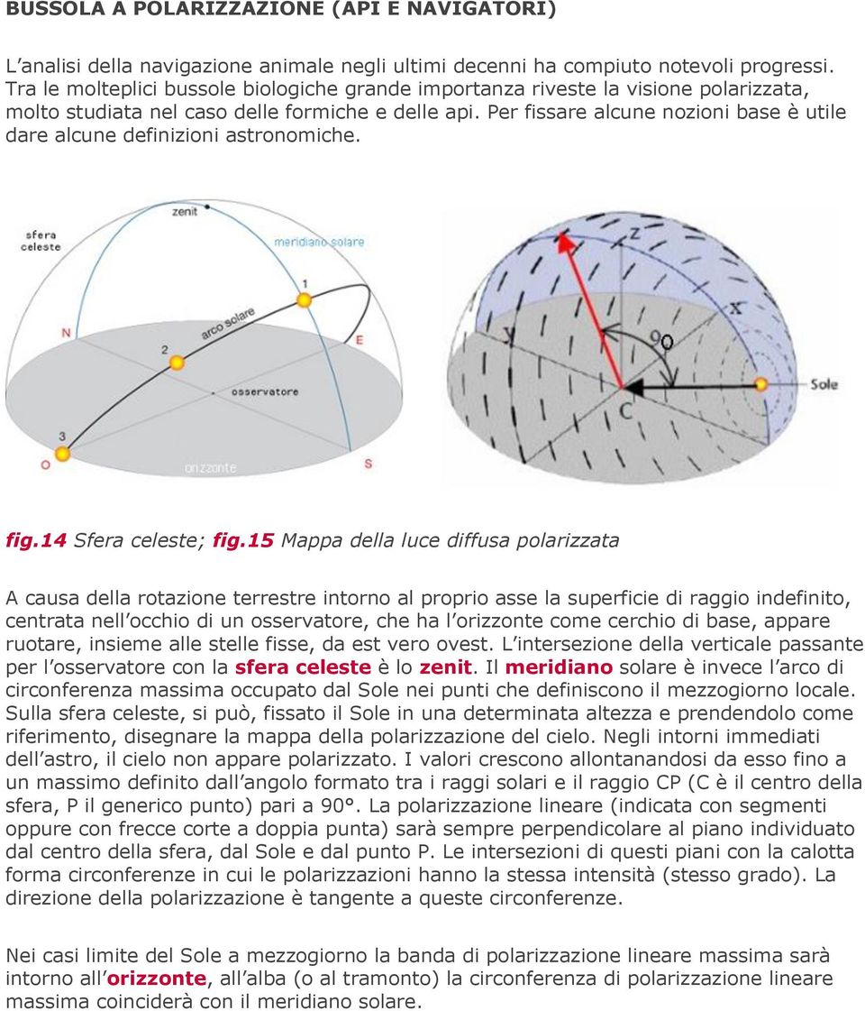 Per fissare alcune nozioni base è utile dare alcune definizioni astronomiche. fig.14 Sfera celeste; fig.