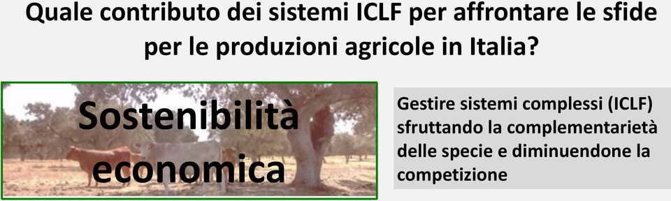 Sostenibilità economica Gestire sistemi complessi (ICLF)